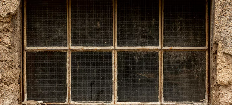 Traditional Double Front Doors in West Melbourne, FL