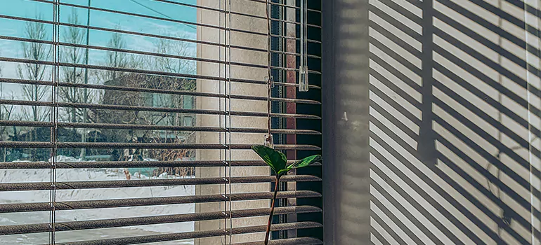 Commercial Window Blinds in West Melbourne, FL