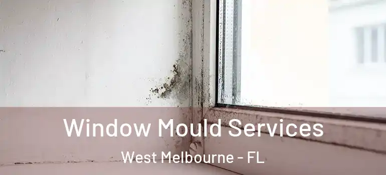 Window Mould Services West Melbourne - FL